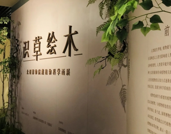 抓住暑假的尾巴，帶孩子感受博物館藝術(shù)的“光合作用”！