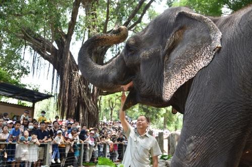 五一假期首日，深圳野生動物園動物科普講解吸引游客